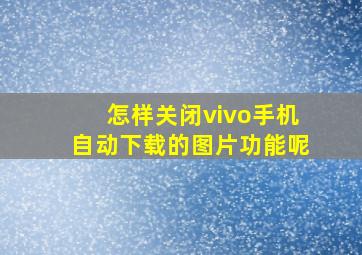 怎样关闭vivo手机自动下载的图片功能呢