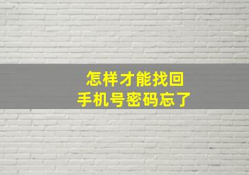 怎样才能找回手机号密码忘了