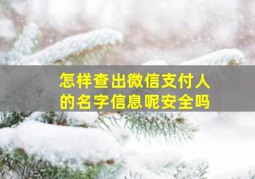 怎样查出微信支付人的名字信息呢安全吗