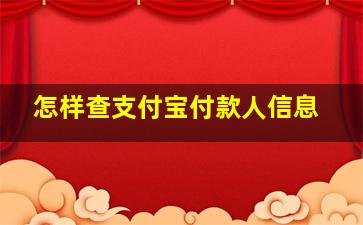 怎样查支付宝付款人信息