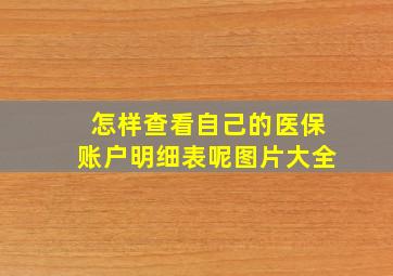 怎样查看自己的医保账户明细表呢图片大全