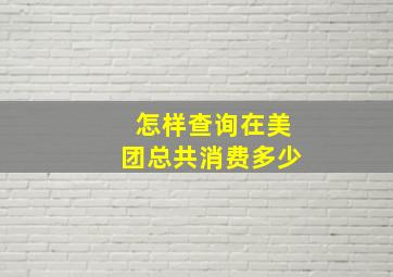 怎样查询在美团总共消费多少