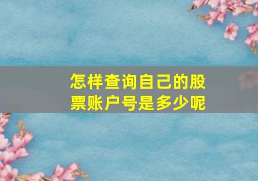 怎样查询自己的股票账户号是多少呢