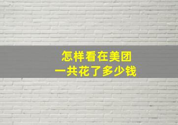 怎样看在美团一共花了多少钱