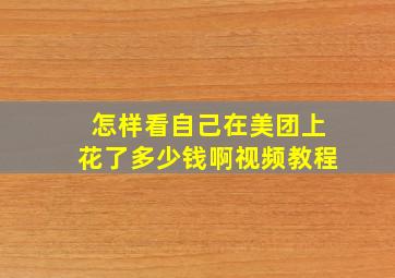 怎样看自己在美团上花了多少钱啊视频教程