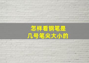 怎样看钢笔是几号笔尖大小的