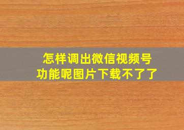 怎样调出微信视频号功能呢图片下载不了了