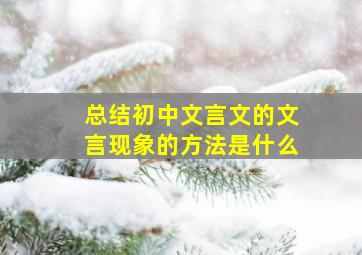 总结初中文言文的文言现象的方法是什么