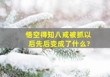 悟空得知八戒被抓以后先后变成了什么?