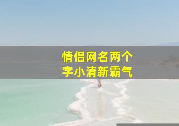 情侣网名两个字小清新霸气