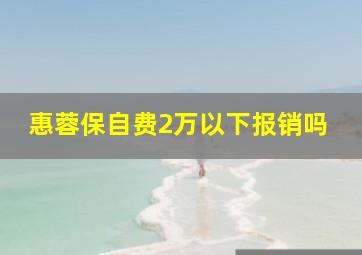 惠蓉保自费2万以下报销吗