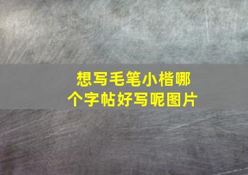 想写毛笔小楷哪个字帖好写呢图片