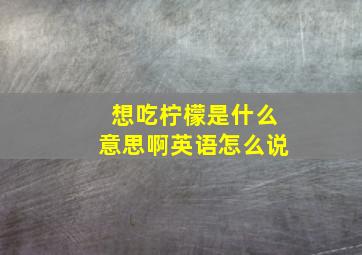 想吃柠檬是什么意思啊英语怎么说