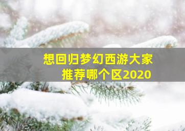 想回归梦幻西游大家推荐哪个区2020