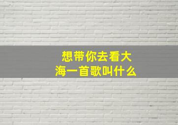 想带你去看大海一首歌叫什么