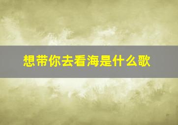 想带你去看海是什么歌