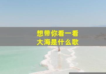 想带你看一看大海是什么歌