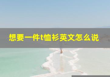 想要一件t恤衫英文怎么说