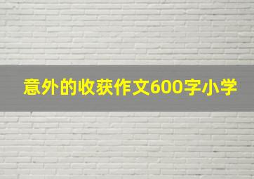 意外的收获作文600字小学