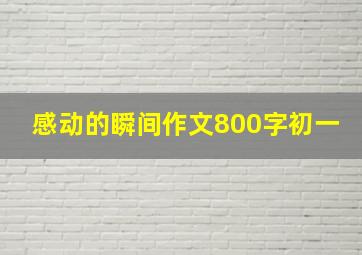 感动的瞬间作文800字初一