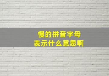 慢的拼音字母表示什么意思啊