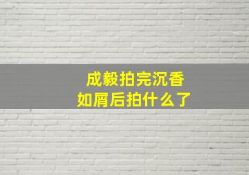 成毅拍完沉香如屑后拍什么了