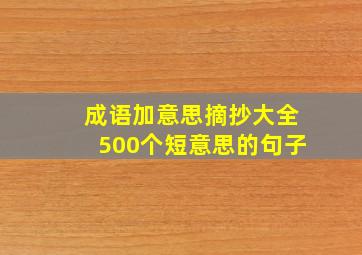 成语加意思摘抄大全500个短意思的句子