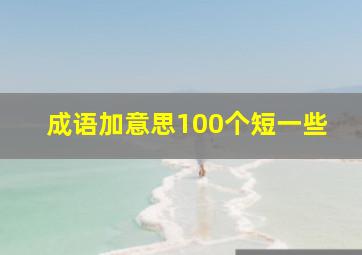 成语加意思100个短一些