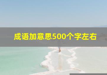 成语加意思500个字左右