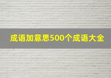 成语加意思500个成语大全