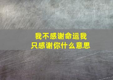 我不感谢命运我只感谢你什么意思