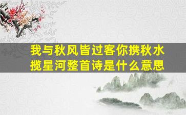 我与秋风皆过客你携秋水揽星河整首诗是什么意思