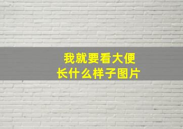 我就要看大便长什么样子图片