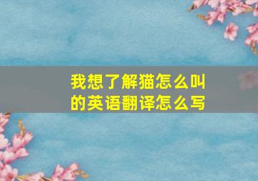 我想了解猫怎么叫的英语翻译怎么写