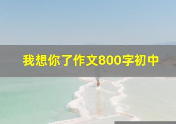 我想你了作文800字初中