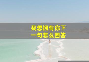 我想拥有你下一句怎么回答