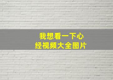 我想看一下心经视频大全图片