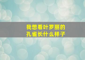 我想看叶罗丽的孔雀长什么样子