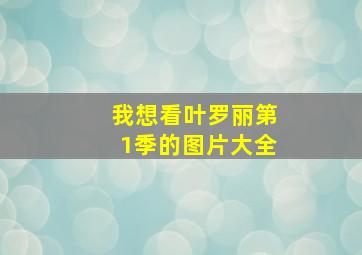 我想看叶罗丽第1季的图片大全