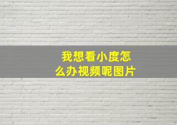 我想看小度怎么办视频呢图片