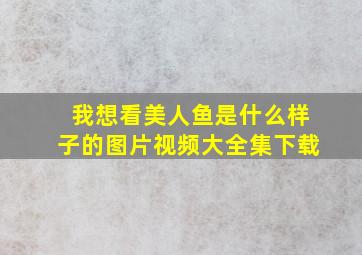 我想看美人鱼是什么样子的图片视频大全集下载