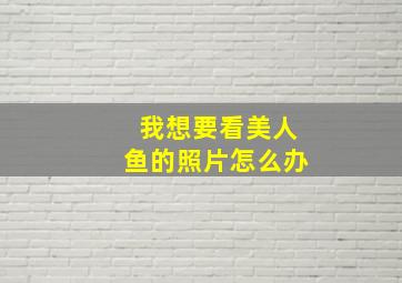 我想要看美人鱼的照片怎么办