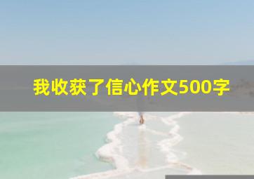 我收获了信心作文500字