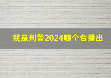 我是刑警2024哪个台播出