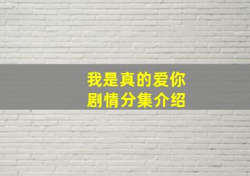 我是真的爱你 剧情分集介绍