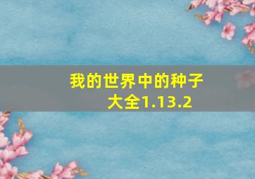 我的世界中的种子大全1.13.2