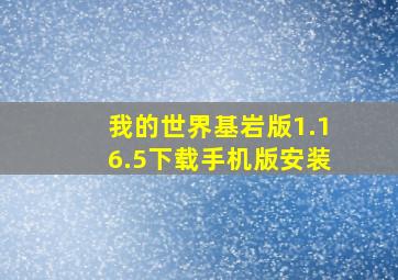 我的世界基岩版1.16.5下载手机版安装