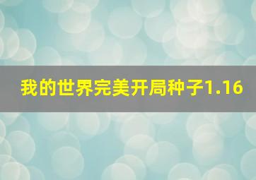 我的世界完美开局种子1.16