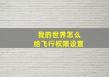 我的世界怎么给飞行权限设置