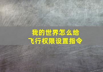 我的世界怎么给飞行权限设置指令